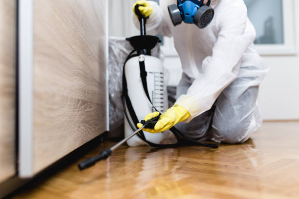 Professional Pest Control in Irvine, CA
