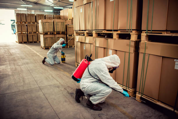 Best Best Pest Control Companies  in Irvine, CA