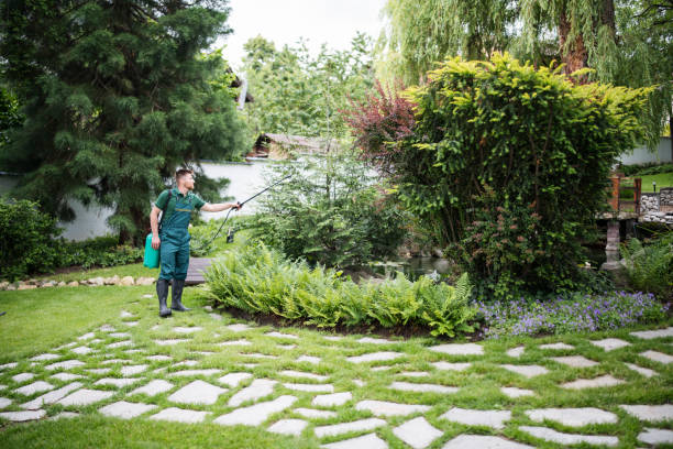 Best Pest Prevention Services  in Irvine, CA