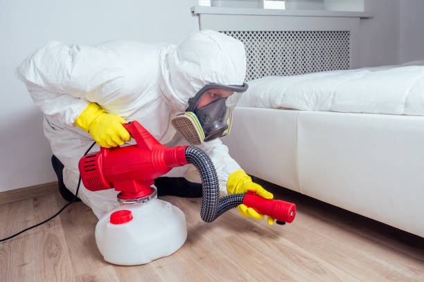 Best Emergency Pest Control  in Irvine, CA