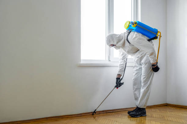Best Exterminator Services  in Irvine, CA
