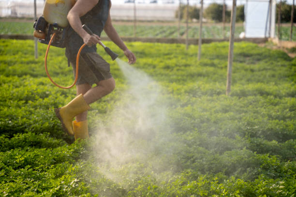 Best Mosquito Control Services  in Irvine, CA