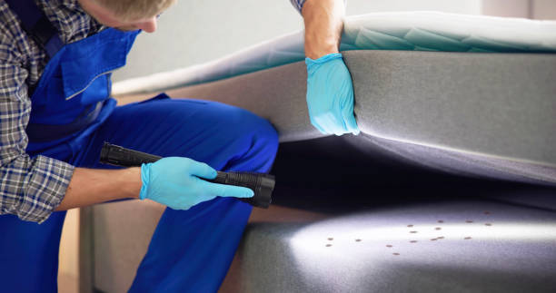 Best Mosquito Control Services  in Irvine, CA