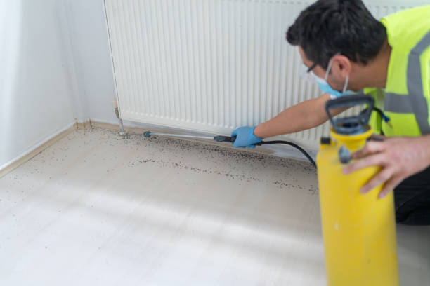 Best Ant Control Services  in Irvine, CA